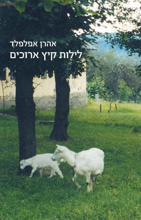 לילות קיץ ארוכים