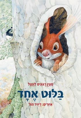 בלוט אחד