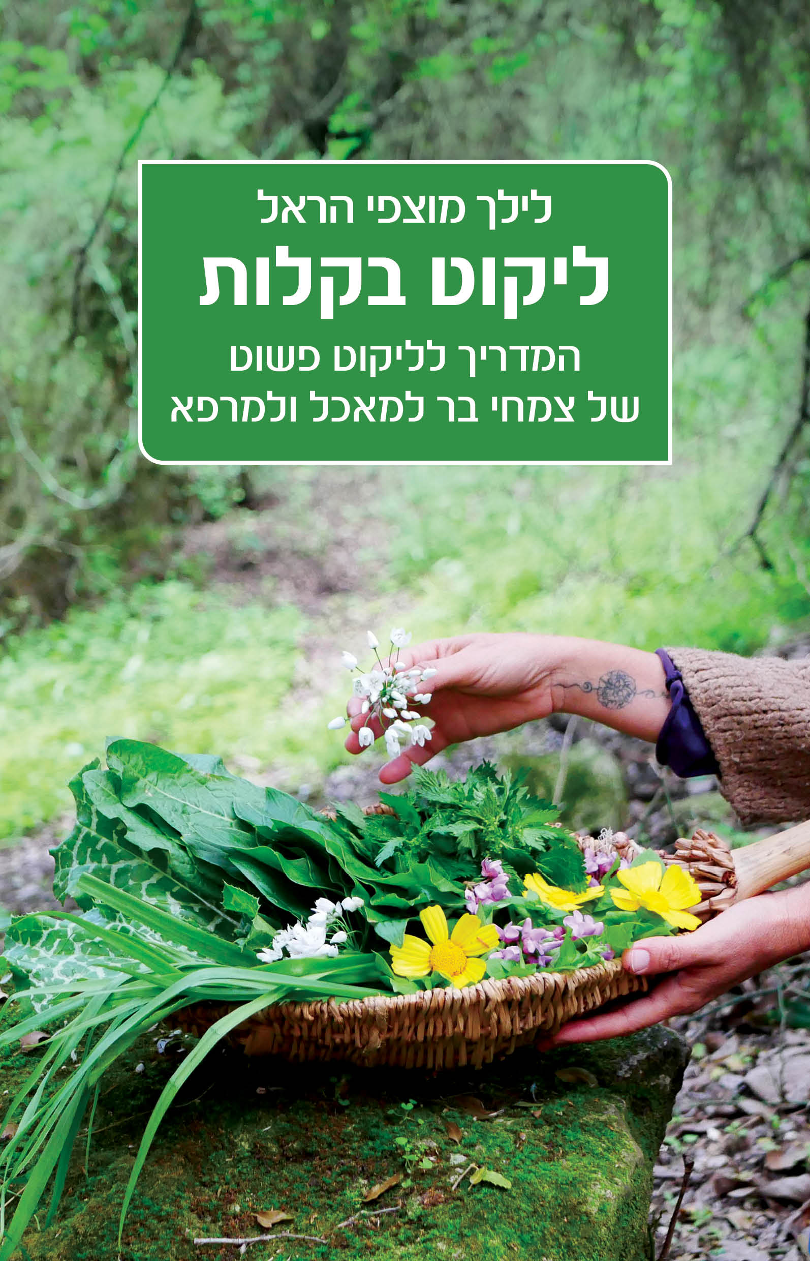 ליקוט בקלות