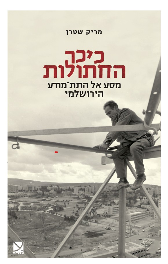 כיכר החתולות