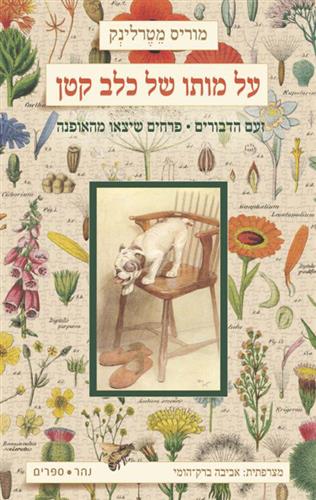 על מותו של כלב קטן