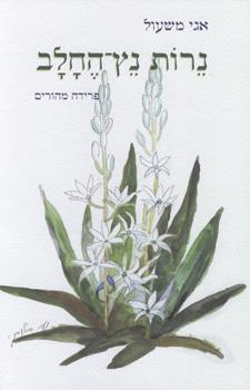 נרות נץ החלב