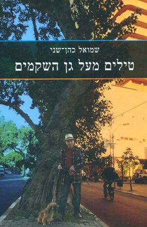 טילים מעל גן השקמים