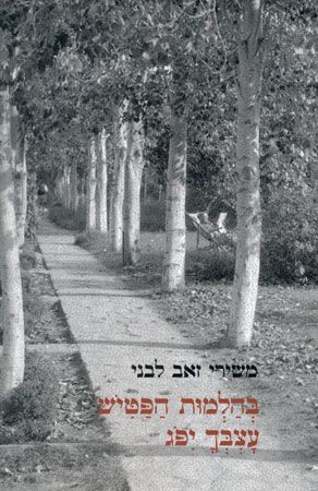 בהלמות הפטיש עצבך יפוג