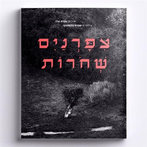 ציפורניים שחורות