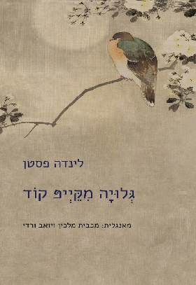גלויה מקייפ קוד