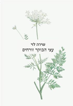 עצי הבוקר זורחים