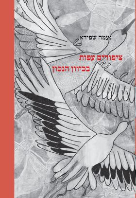 ציפורים עפות בכיוון הנכון