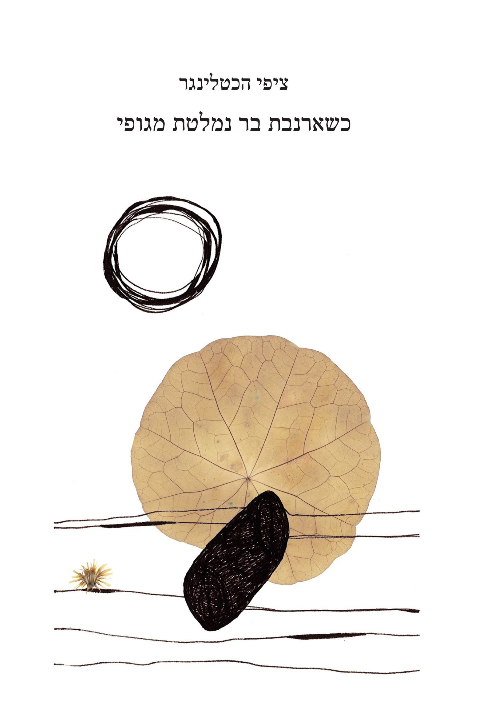 כשארנבת בר נמלטת מגופי