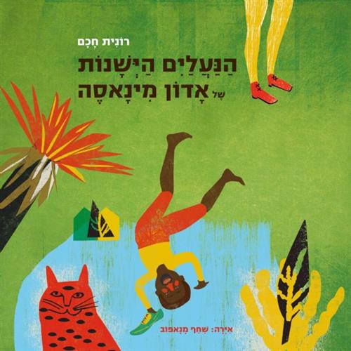 הנעלים הישנות של אדון מינאסה