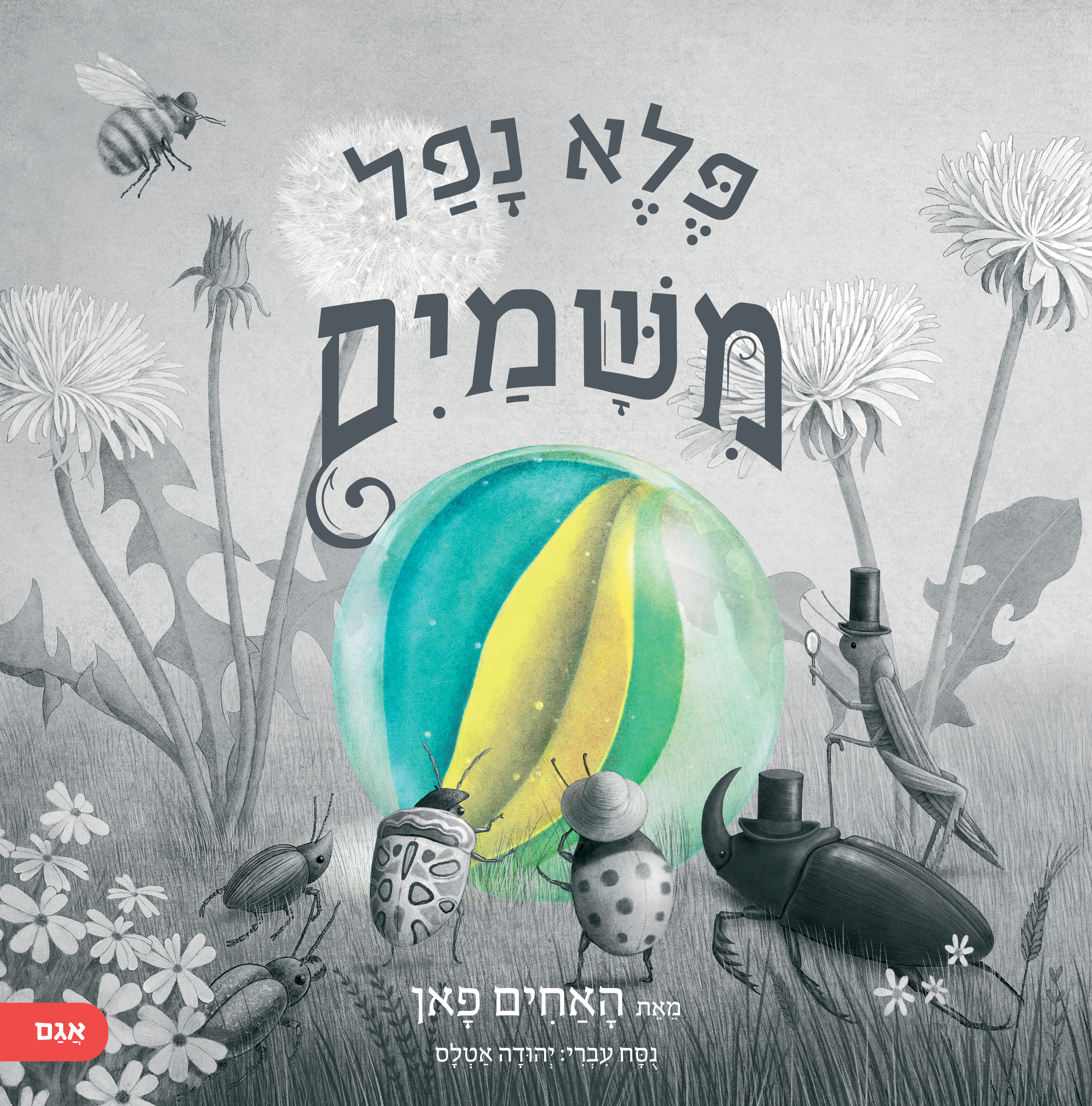 פלא נפל משמים
