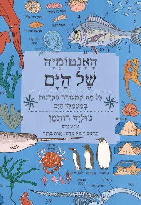 האנטומיה של הים
