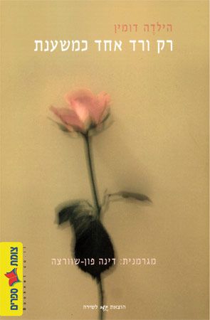רק ורד אחד כמשענת