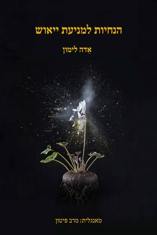 הנחיות למניעת ייאוש