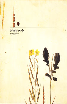 לי ארץ זרת