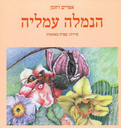 הנמלה עמליה