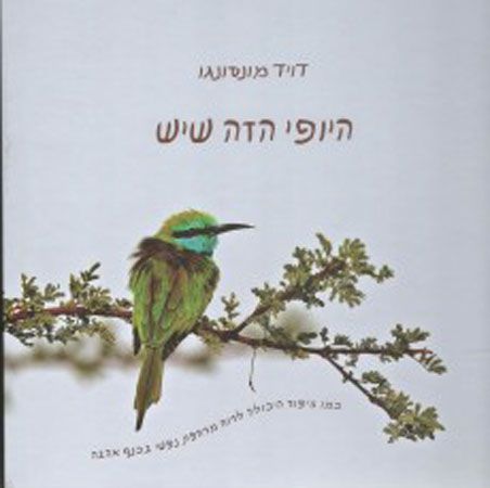 היופי הזה שיש