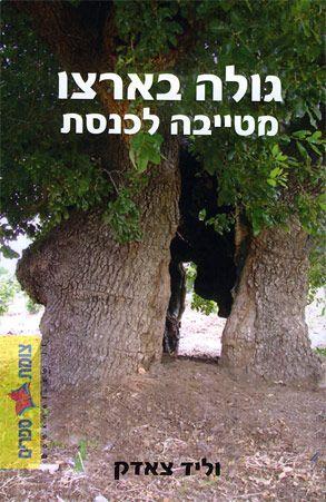 גולה בארצו מטייבה לכנסת