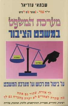 מערכת המשפט במשפט הציבור