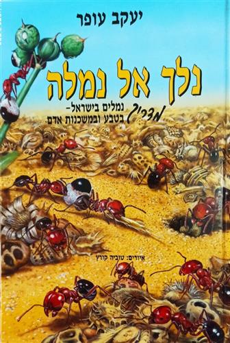 נלך אל נמלה