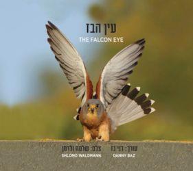 עין הבז