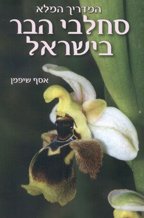 סחלבי הבר בישראל המדריך המלא