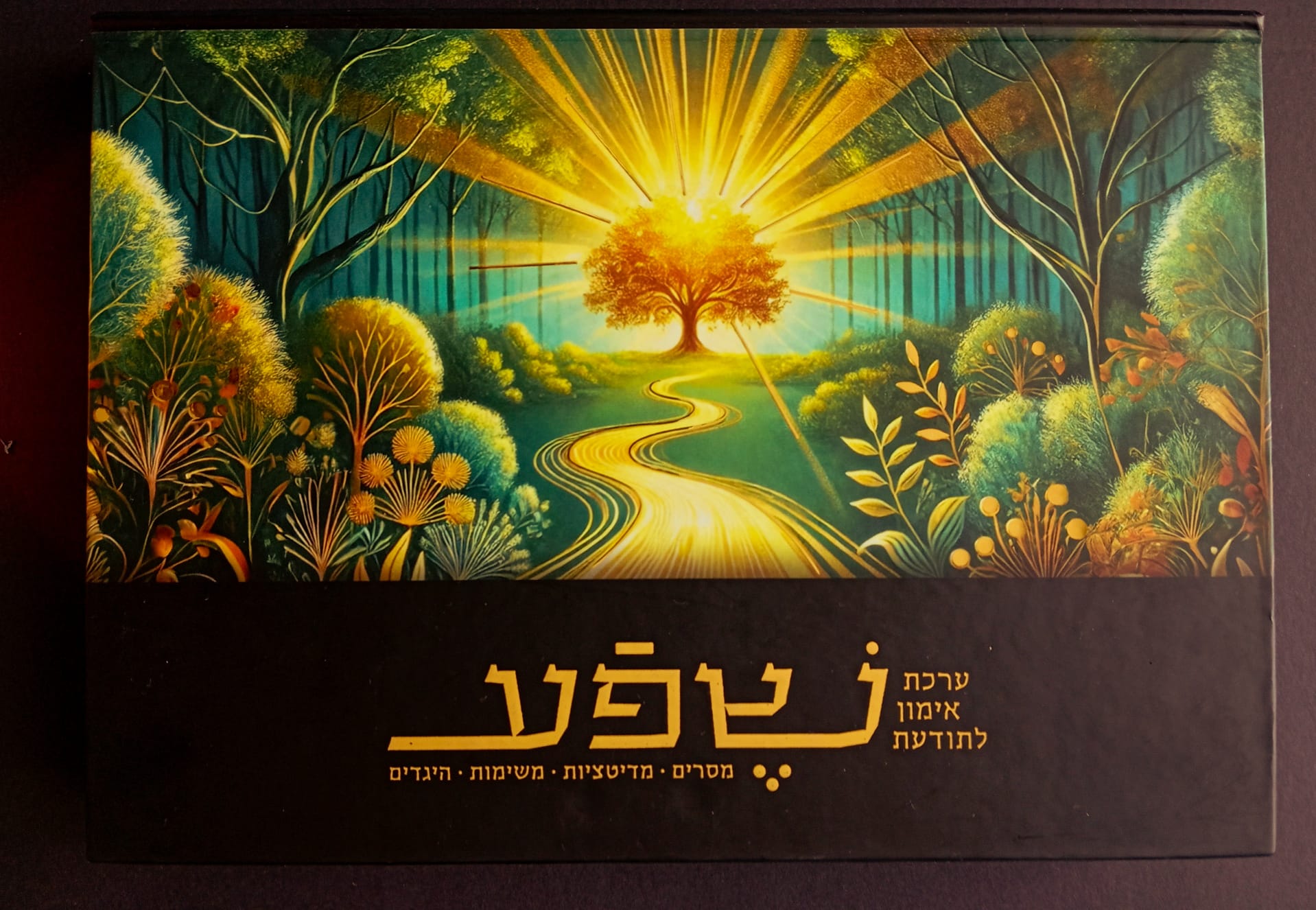 ערכת אימון לתודעת שפע