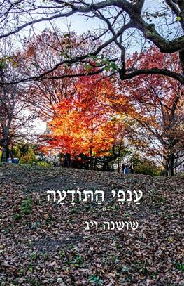 ענפי התודעה