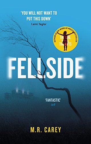 FELLSIDE