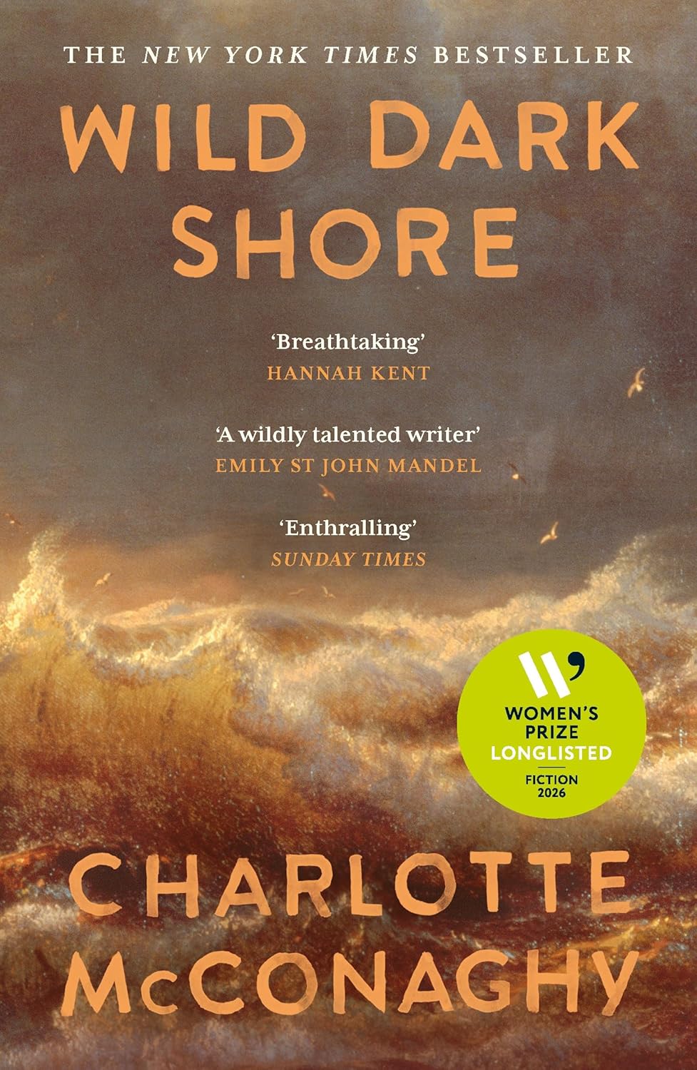WILD DARK SHORE