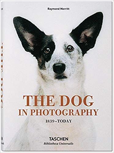 THE DOG IN PHOTOGRAPHY - MINI TASCHEN
