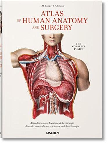 BOURGERY: ATLAS OF HUMAN ANATOMY AND SURGERY HC