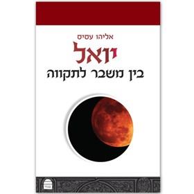 יואל בין משבר לתקווה