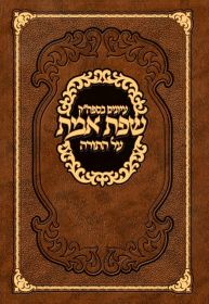 עיונים בספהק שפת אמת על התורה