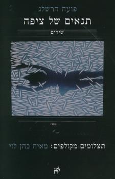 תנאים של ציפה