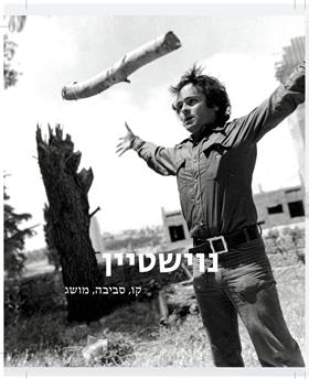 נוישטיין קו, סביבה, מושג