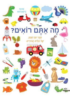 מה אתם רואים