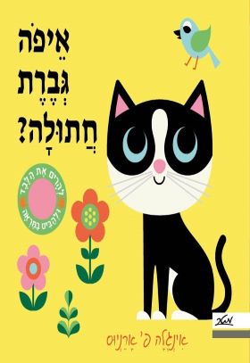 איפה גברת חתולה
