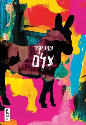 צלם