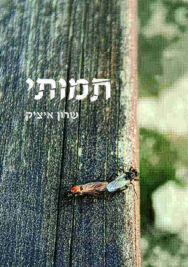 תמותי