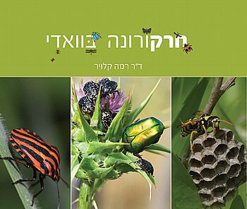 חרקורונה בוואדי