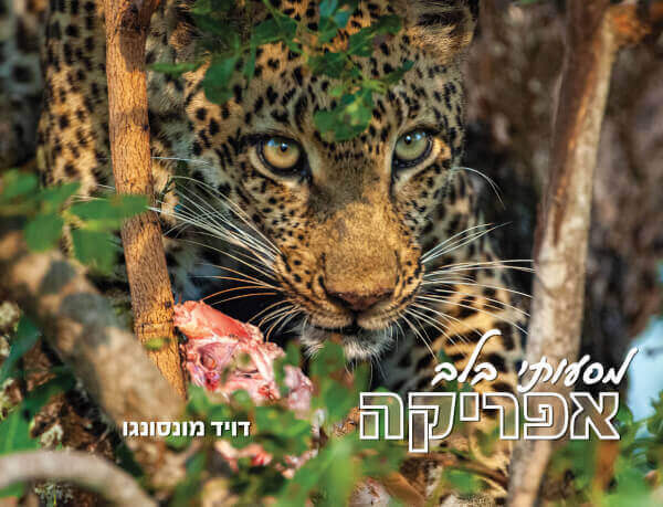 מסעותי בלב אפריקה