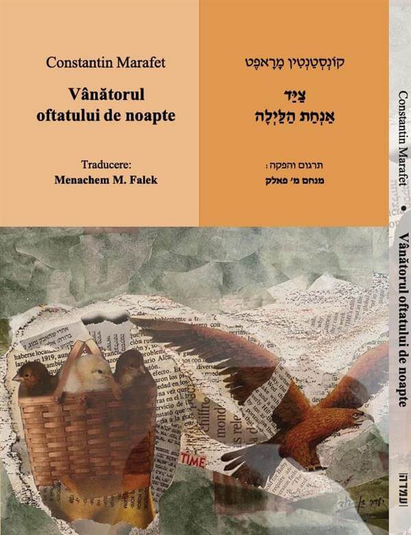 ציד אנחת הלילה
