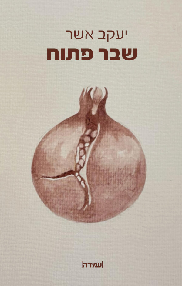 שבר פתוח