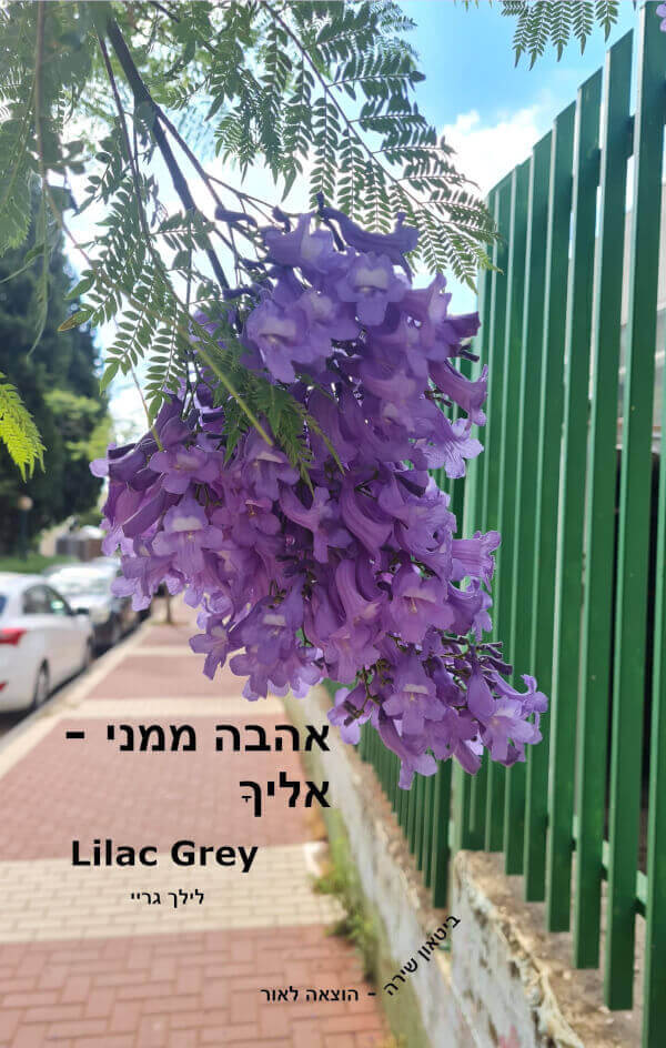 אהבה ממני אליך