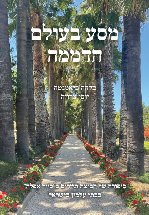 מסע בעולם הדממה