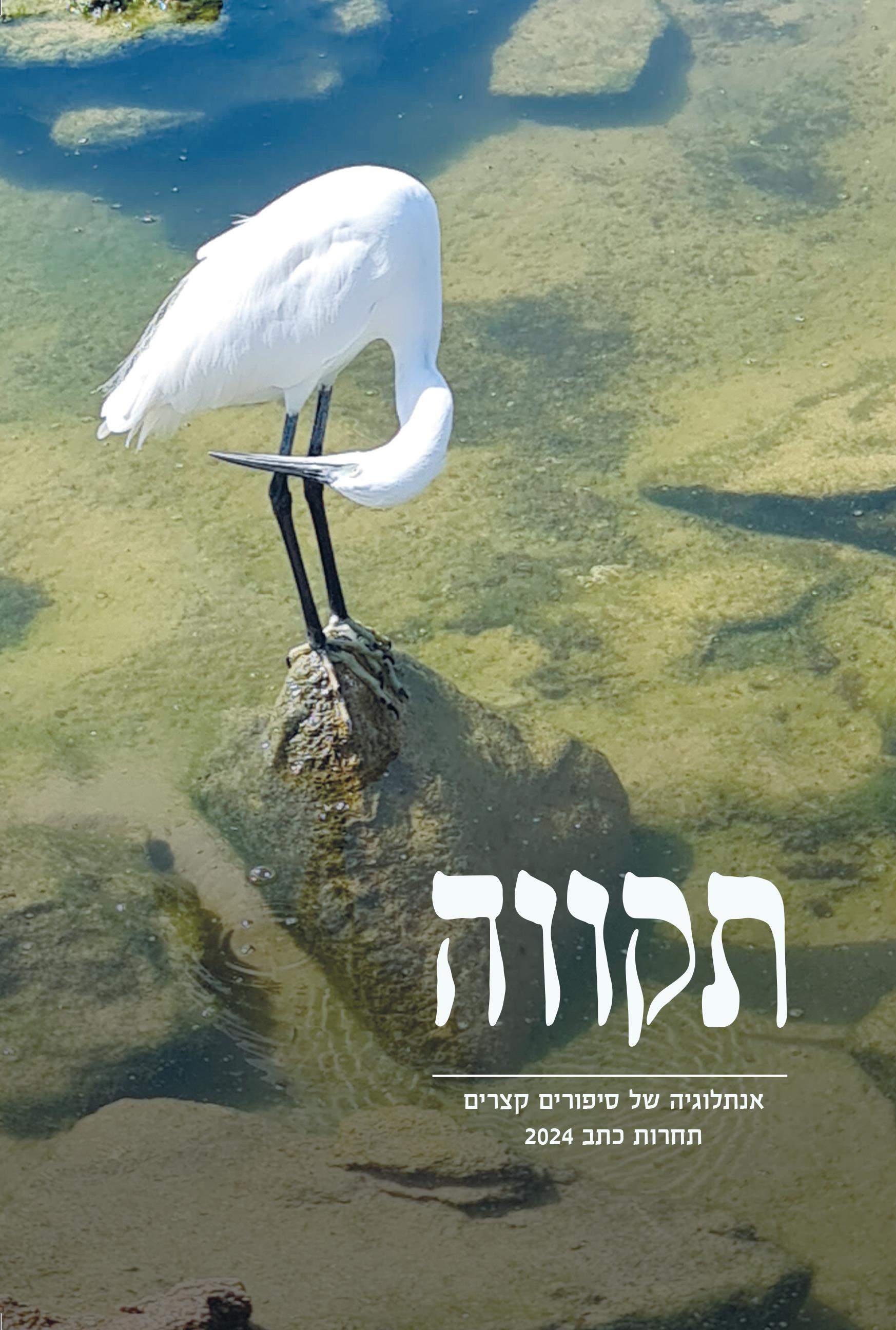 תקווה אנתלוגיה של סיפורים קצרים תחרות כתב 2024