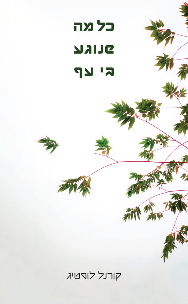 כל מה שנוגע בי עף
