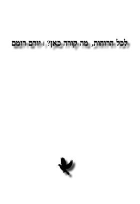 לכל הרוחות מה קורה כאן