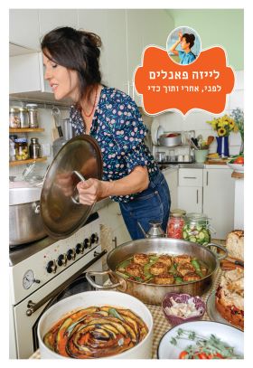 לייזה פאנלים 4 לפני אחרי ותוך כדי